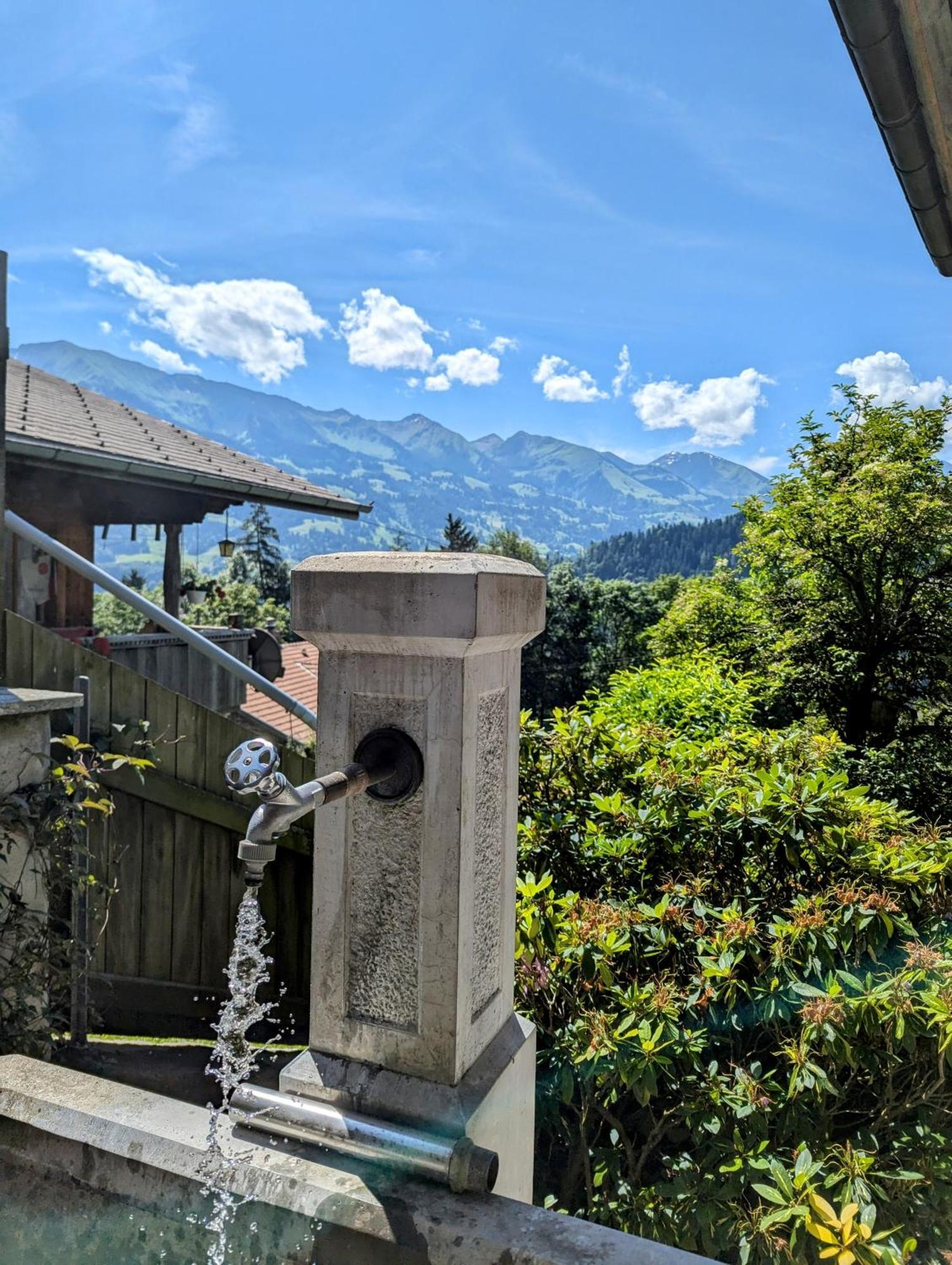 Swiss Mountain-Valley View Lodge Erlenbach im Simmental ภายนอก รูปภาพ
