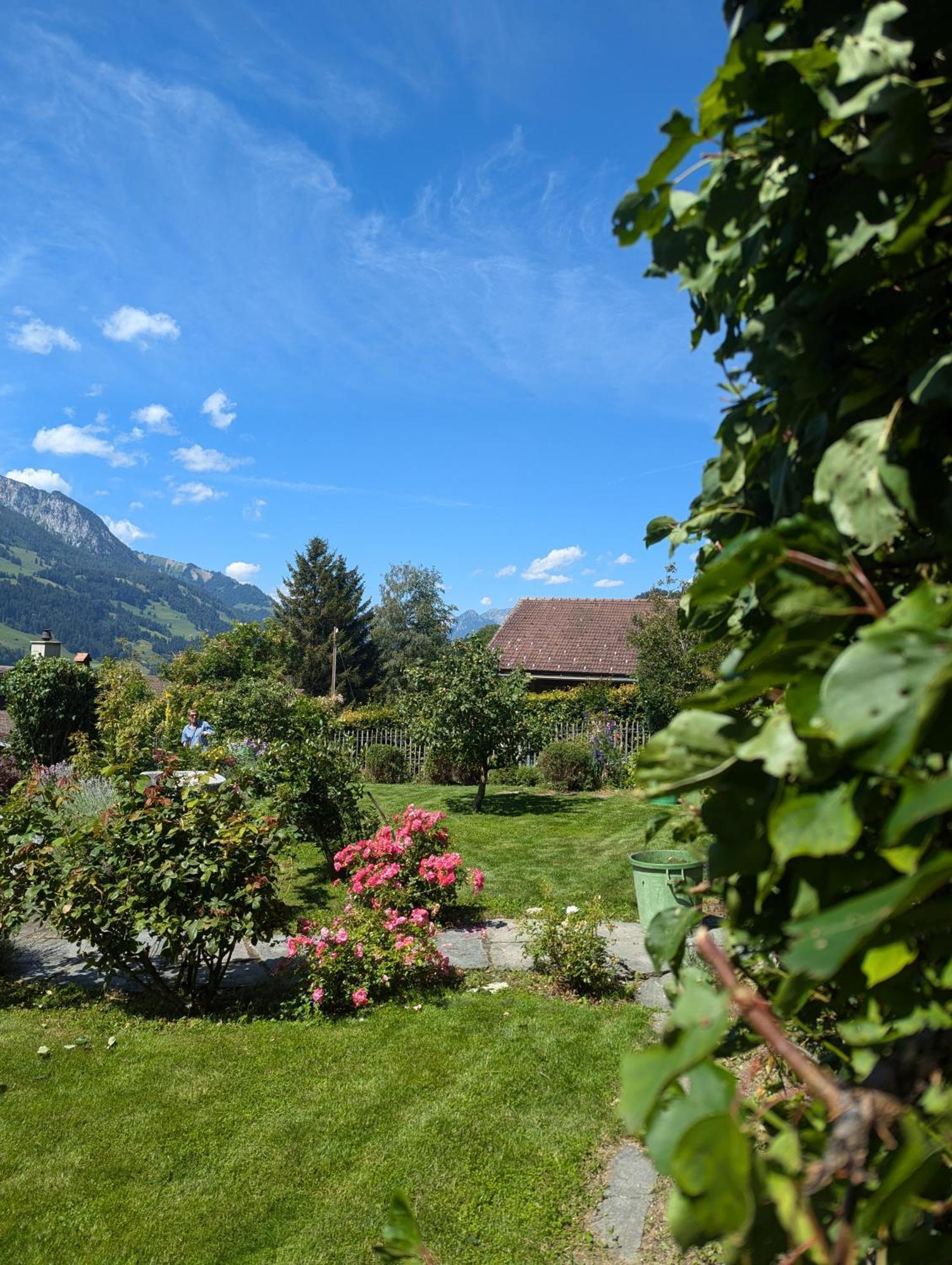Swiss Mountain-Valley View Lodge Erlenbach im Simmental ภายนอก รูปภาพ