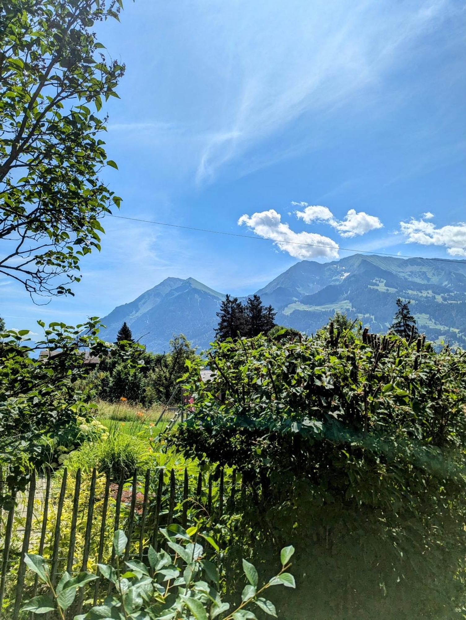 Swiss Mountain-Valley View Lodge Erlenbach im Simmental ภายนอก รูปภาพ