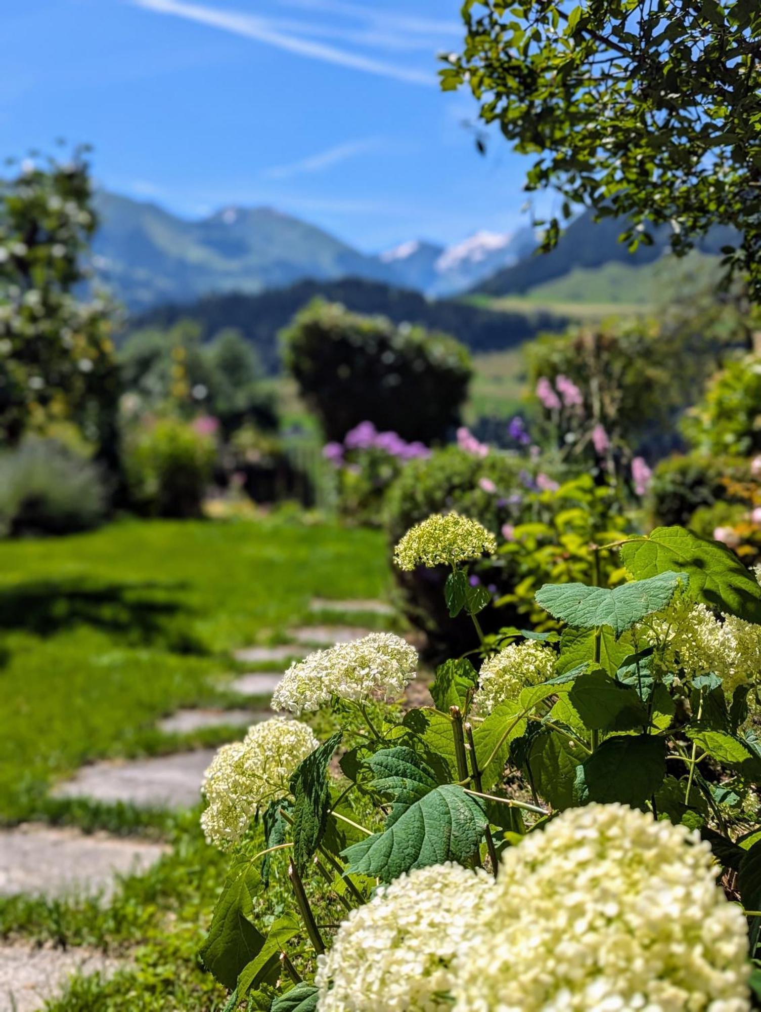 Swiss Mountain-Valley View Lodge Erlenbach im Simmental ภายนอก รูปภาพ