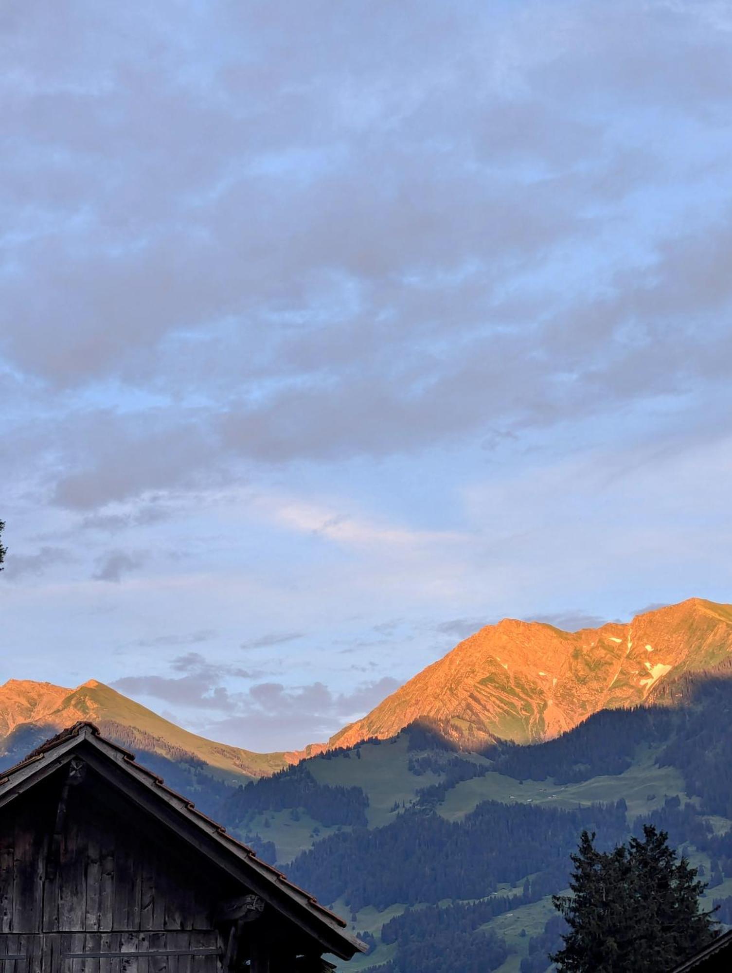 Swiss Mountain-Valley View Lodge Erlenbach im Simmental ภายนอก รูปภาพ