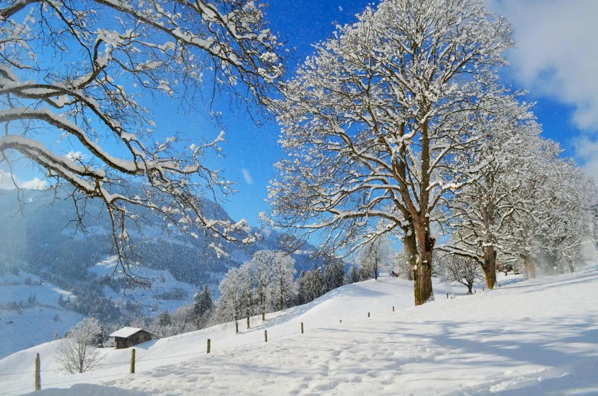 Swiss Mountain-Valley View Lodge Erlenbach im Simmental ภายนอก รูปภาพ