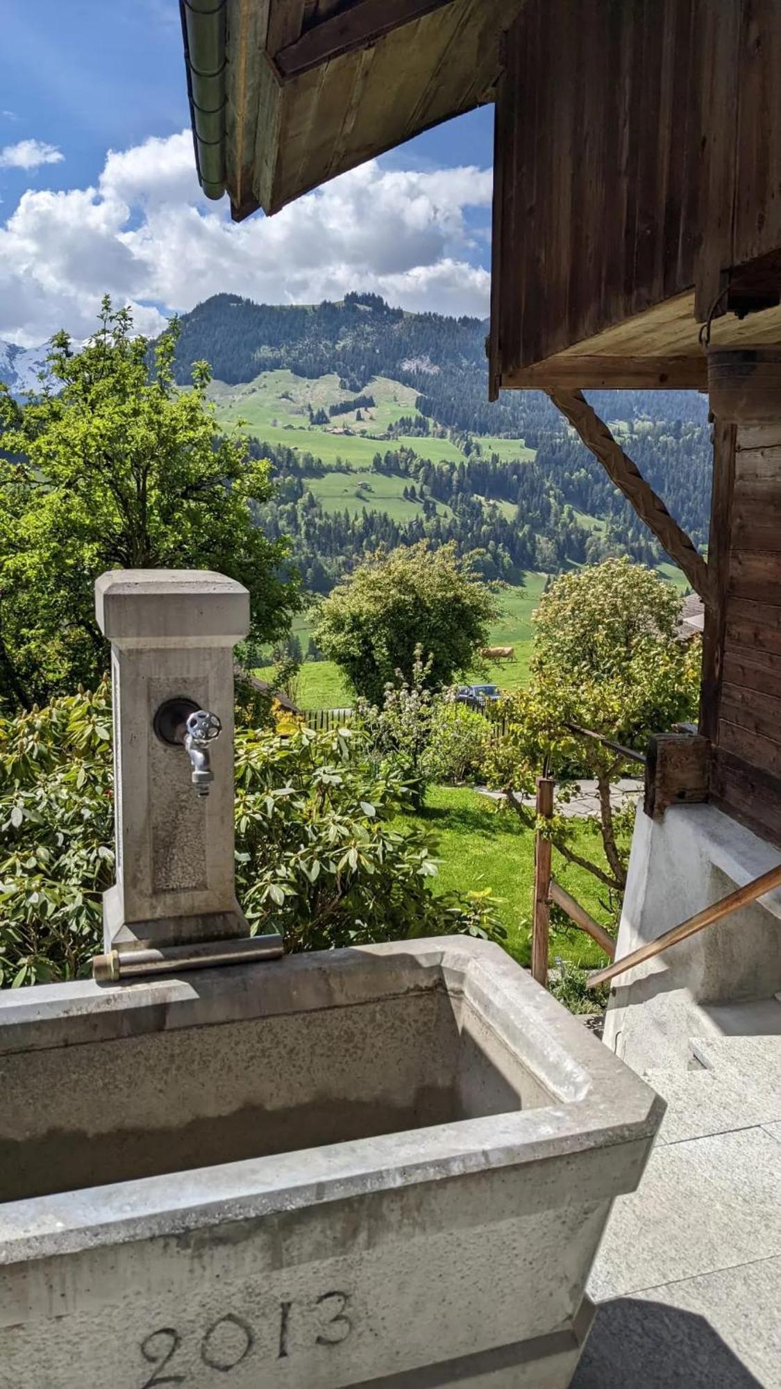 Swiss Mountain-Valley View Lodge Erlenbach im Simmental ภายนอก รูปภาพ
