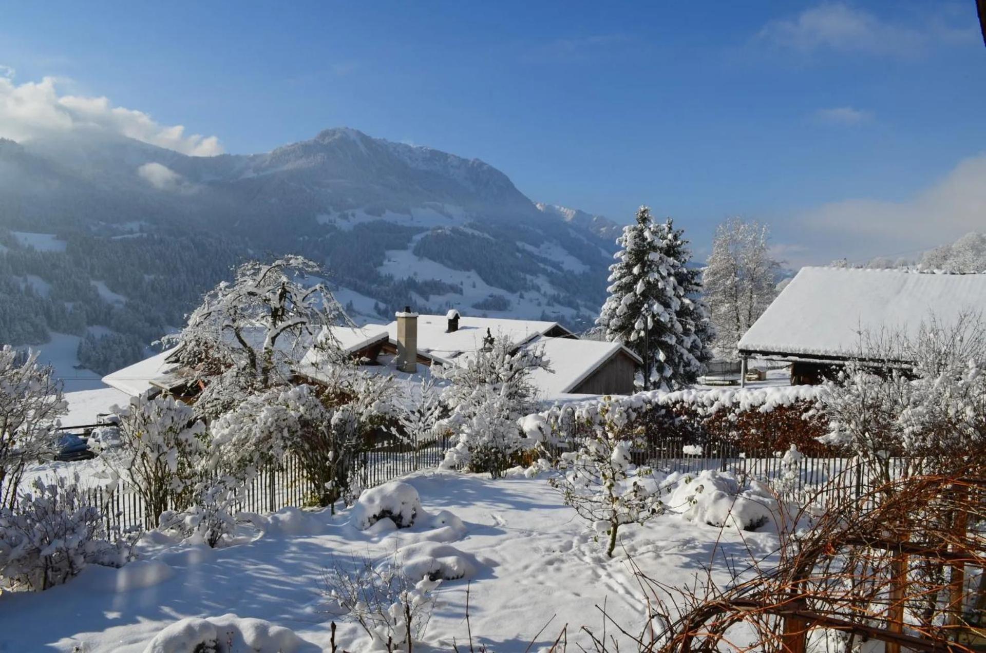 Swiss Mountain-Valley View Lodge Erlenbach im Simmental ภายนอก รูปภาพ