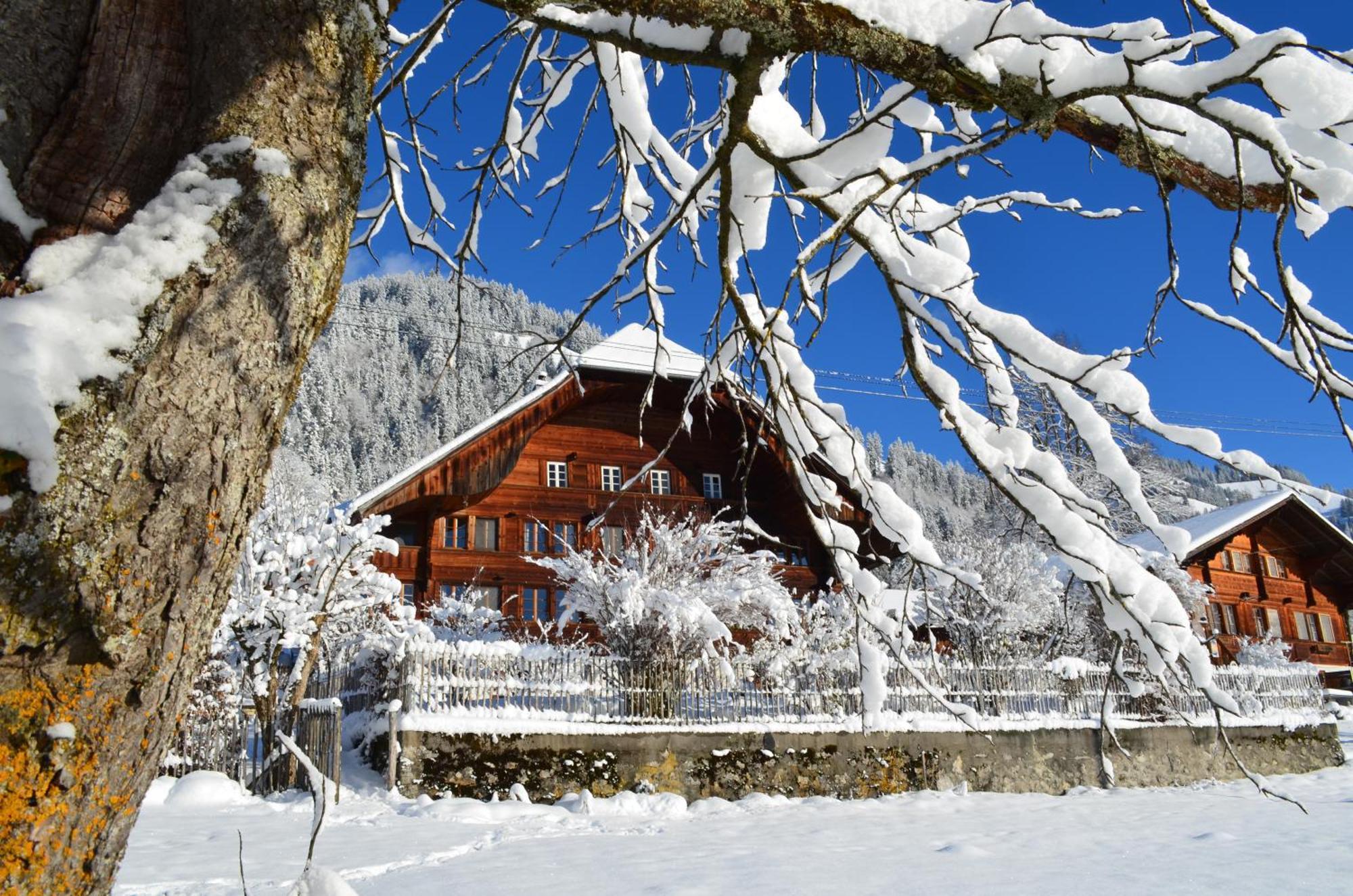 Swiss Mountain-Valley View Lodge Erlenbach im Simmental ภายนอก รูปภาพ